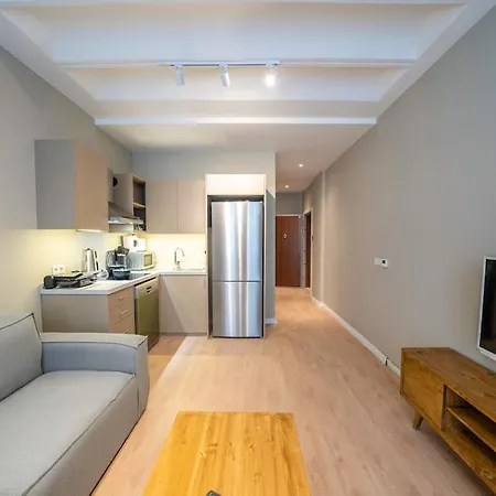 Appartement Historic 1 Bedroom Galata Apt-heart Of Kuledibi 2 *