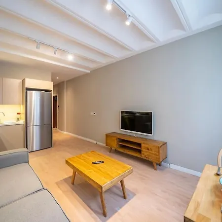 Historic 1 Bedroom Galata Apt-heart Of Kuledibi 2 דירה